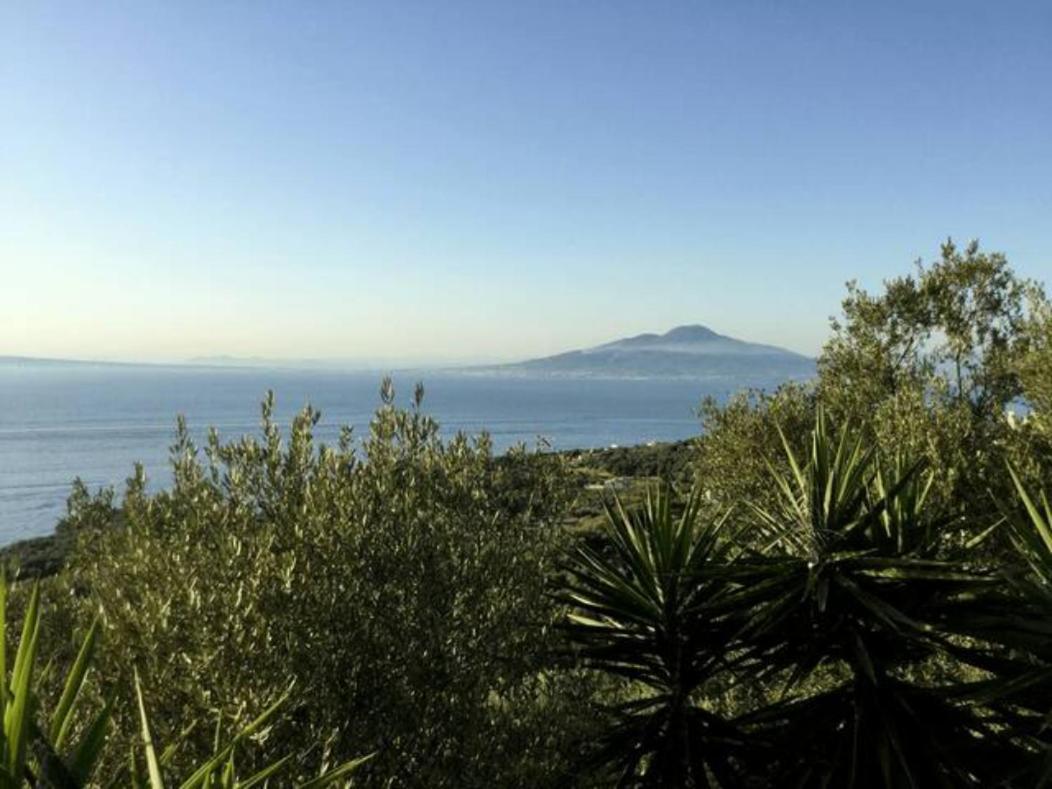 Un Paradiso A Sorrento Con Piscina Massa Lubrense Bagian luar foto