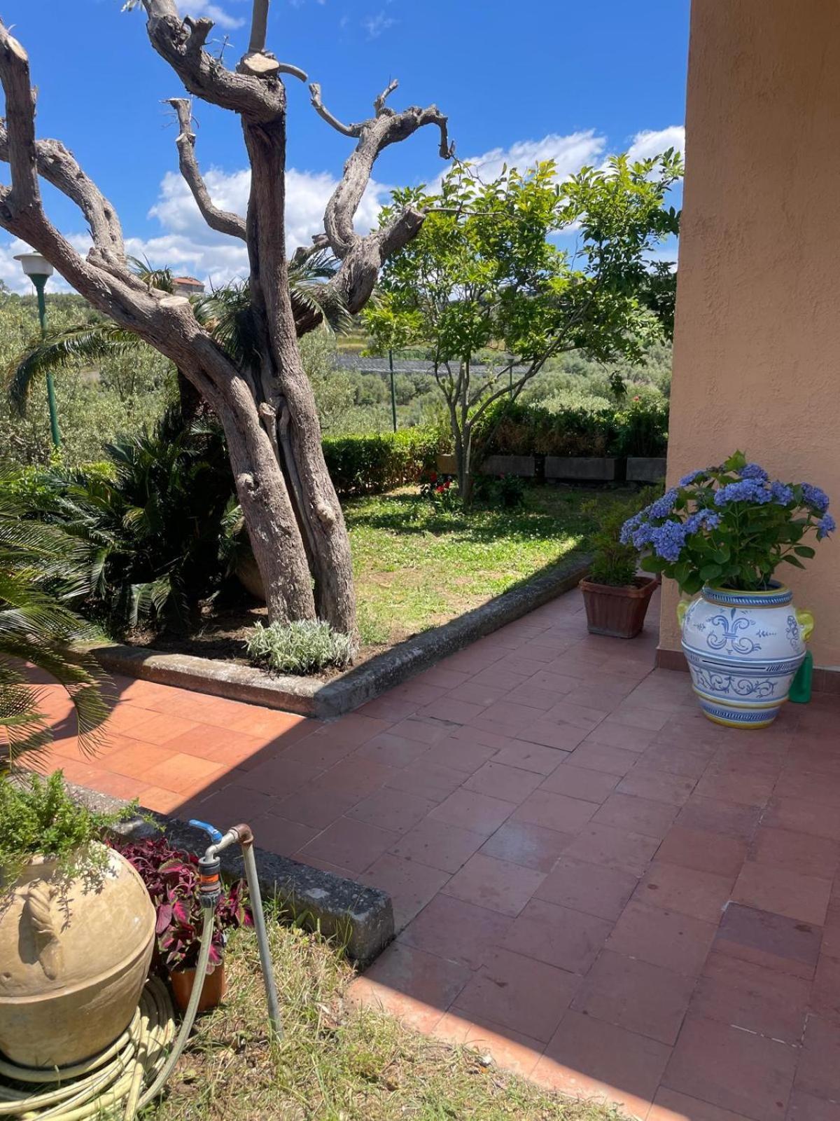 Un Paradiso A Sorrento Con Piscina Massa Lubrense Bagian luar foto