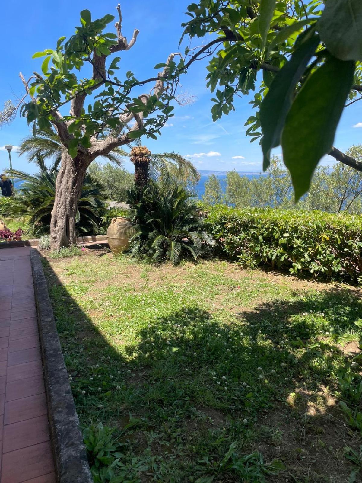 Un Paradiso A Sorrento Con Piscina Massa Lubrense Bagian luar foto