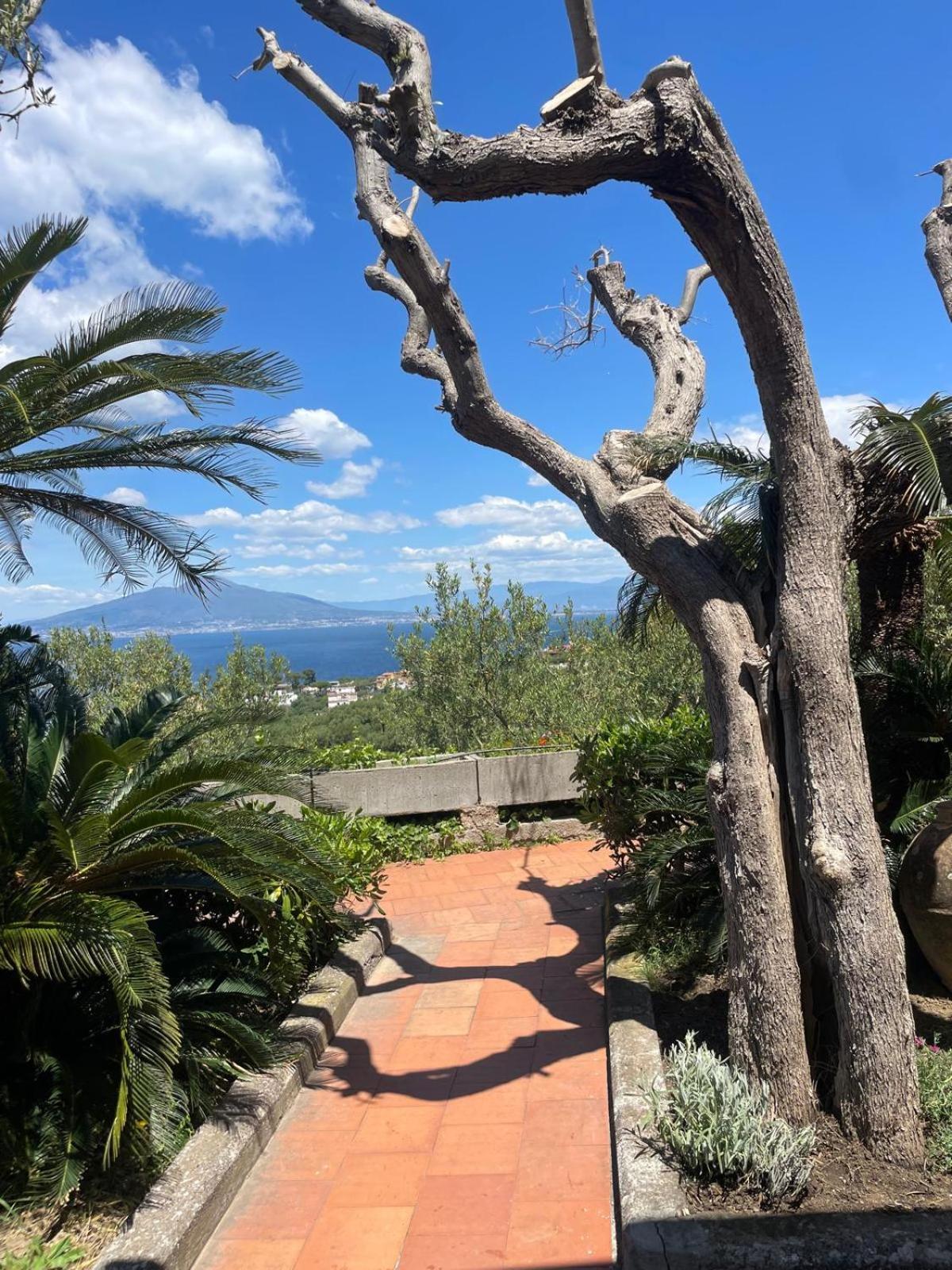 Un Paradiso A Sorrento Con Piscina Massa Lubrense Bagian luar foto