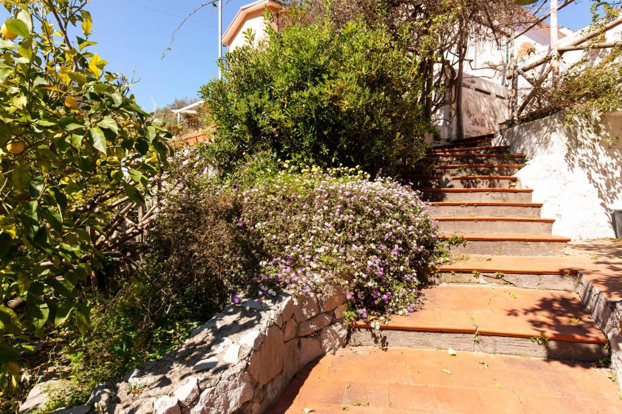 Un Paradiso A Sorrento Con Piscina Massa Lubrense Bagian luar foto